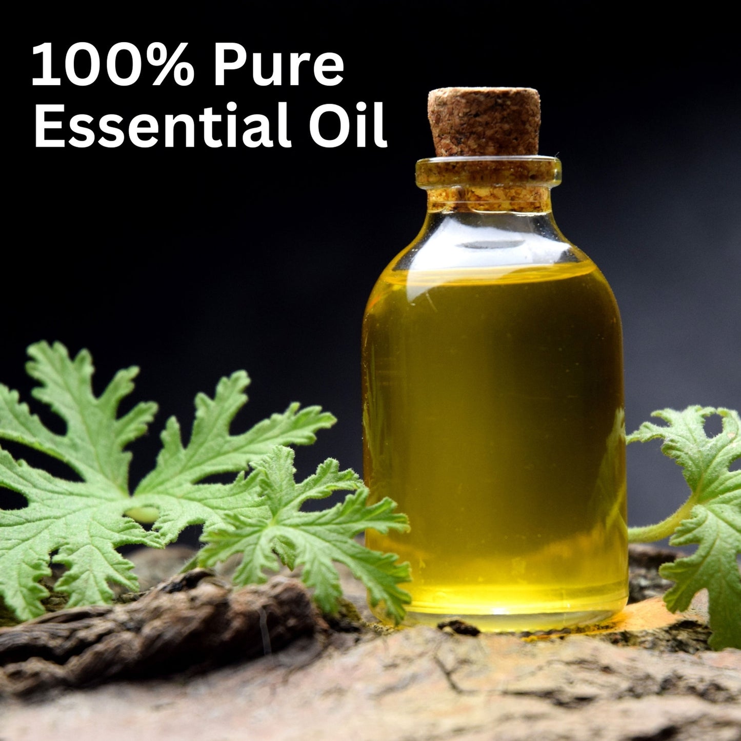 Aroma Treasures Citronella Pure Essential Oil - Distacart