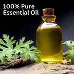 Thumbnail for Aroma Treasures Citronella Pure Essential Oil - Distacart
