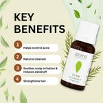 Thumbnail for Aroma Treasures Tea Tree Pure Essential Oil - Distacart