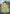 Monjolika Fashion Light Green Rayon Embroidered Designer Kurti