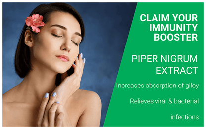 bliss welness immune health giloy biopiperine veg tablet