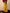 Monjolika Fashion Viscose Silk Mustard Saree With Rich Zari Weaving & Designer Tassels
