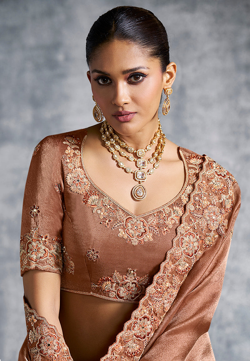 Monjolika Fashion Brown Tissue Traditional Saree with Embroidered, Resham and Thread Work for Ceremonial