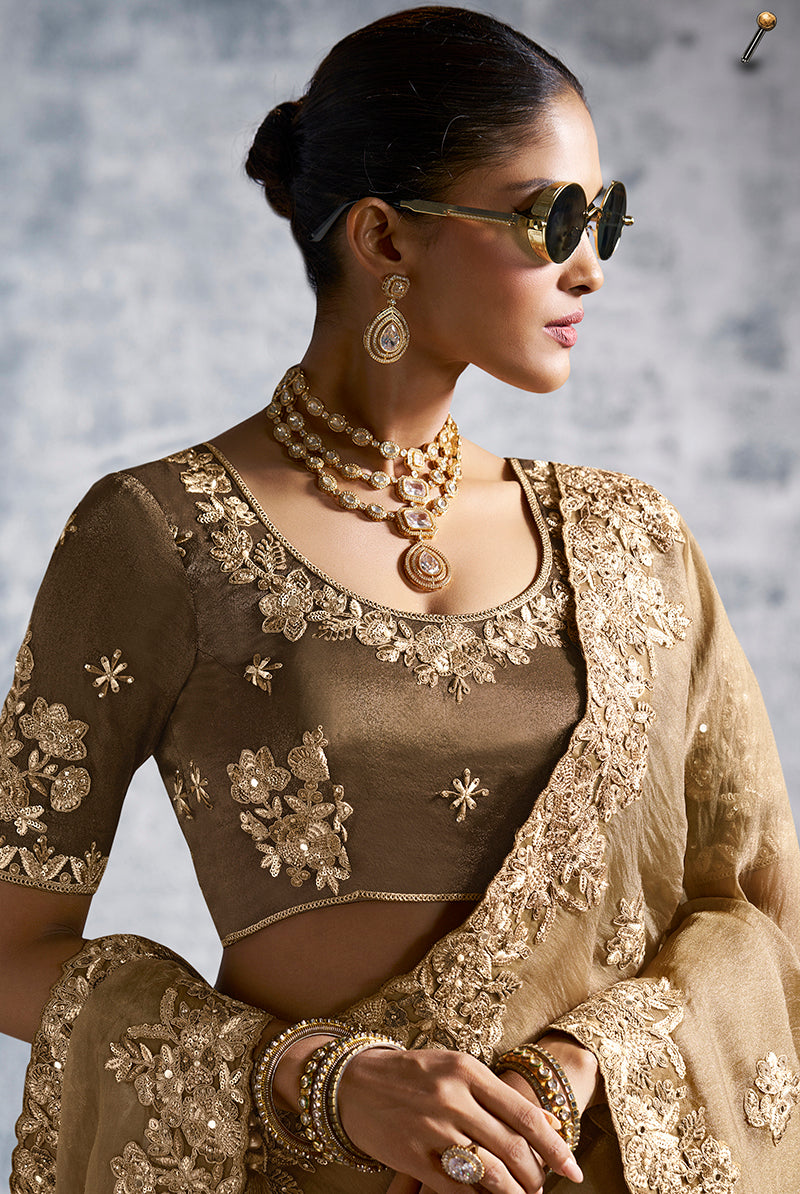 Monjolika Fashion Beige Tissue Traditional Saree with Embroidered, Resham and Thread Work for Ceremonial