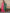 Ode by House of Pataudi Women Floral Printed Regular Kurta with Trousers & With Dupatta - Distacart