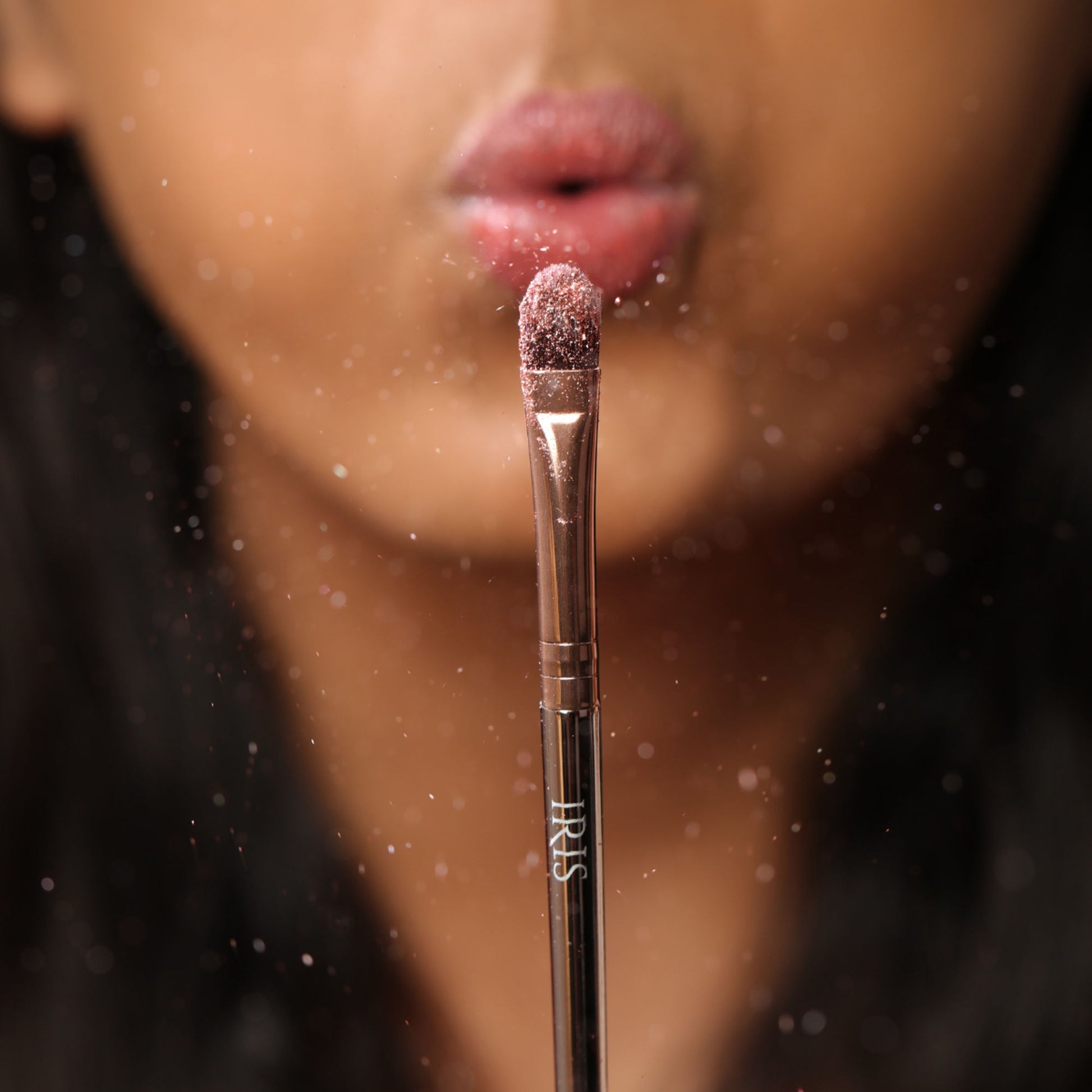 IRIS COSMETICS Luminous Eye Brush Set - Distacart
