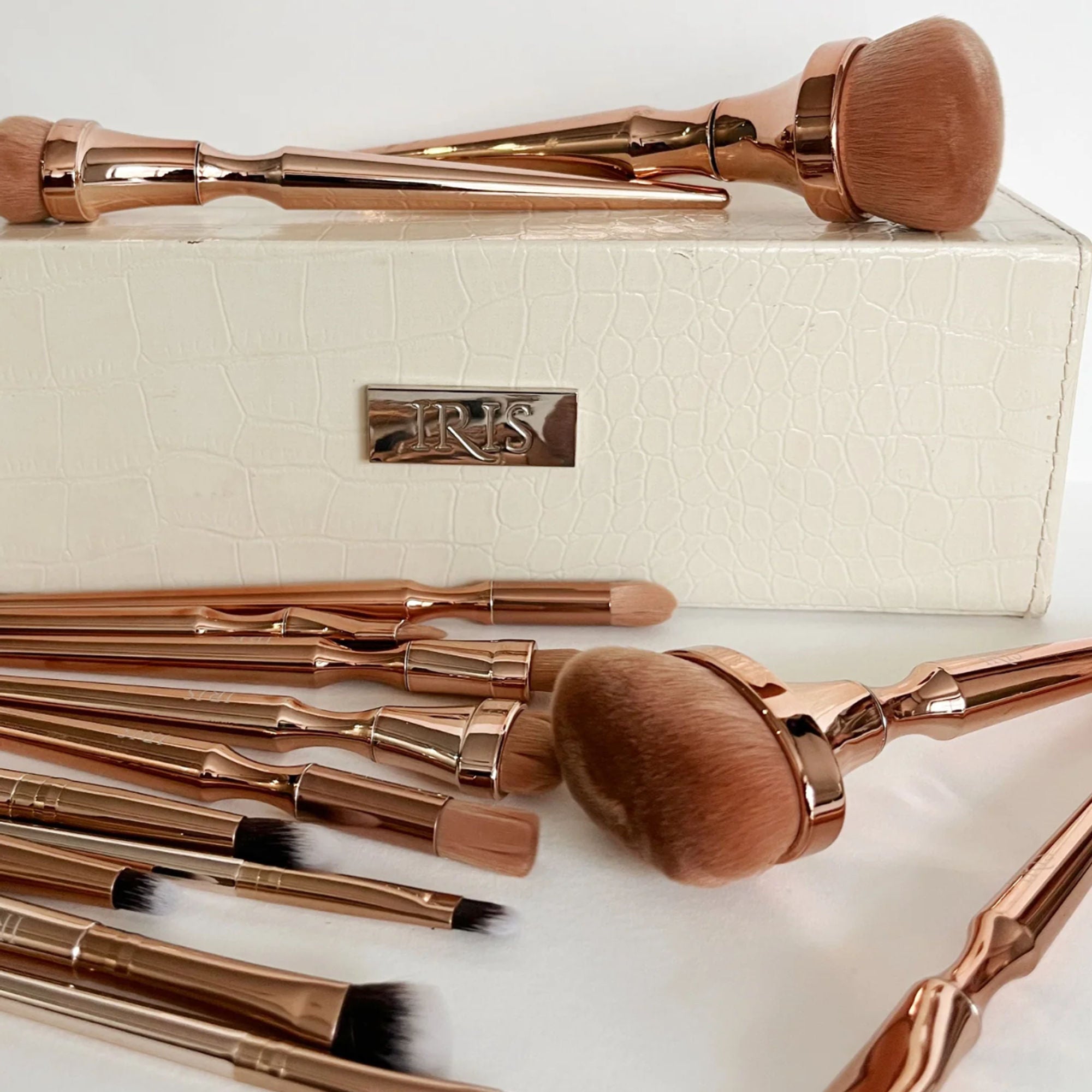 IRIS COSMETICS Luminous Complete Brush Set - Distacart