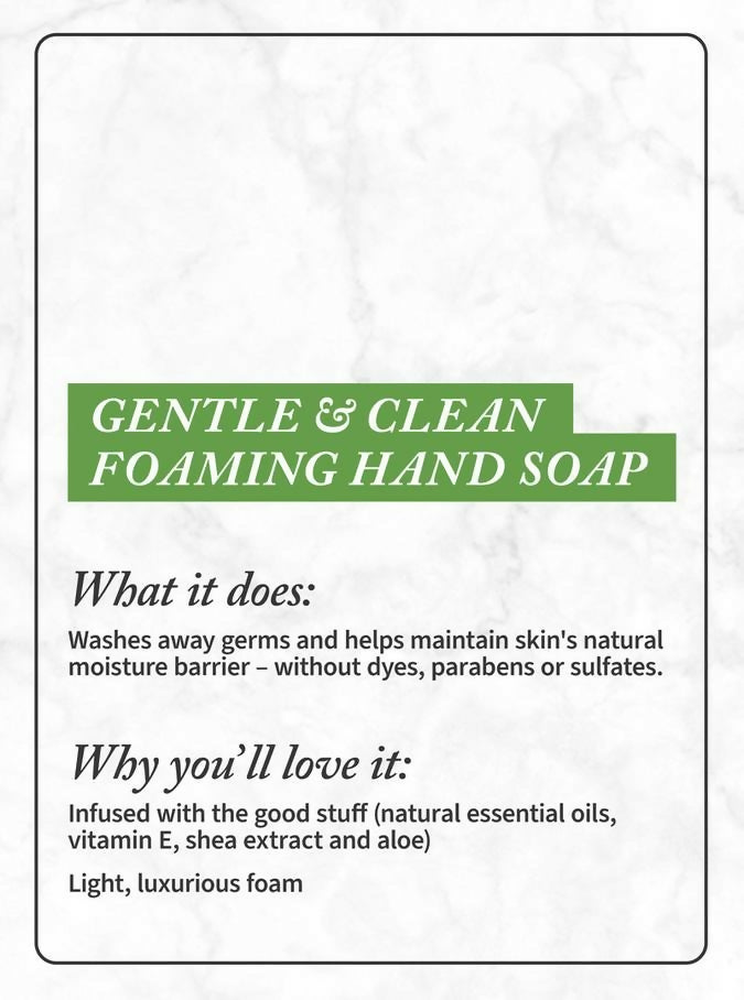 Bath & Body Works Champagne Toast Gentle & Clean Foaming Hand Soap - Distacart