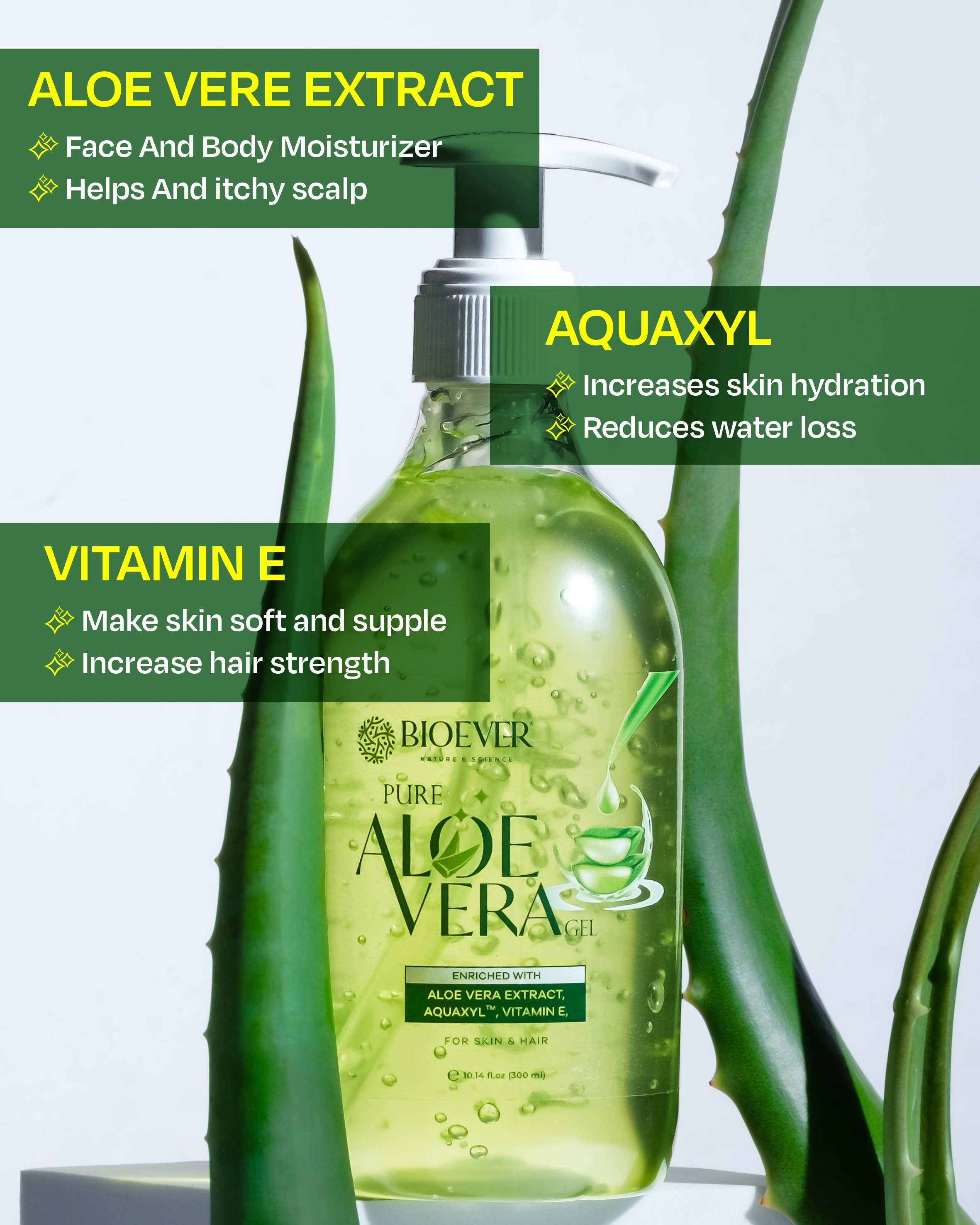 download - 2024-11-05T173544.283