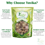 Thumbnail for Yuvika Jufa - Zufa - Hyssopus Officinalis Linn - Hyssop - Issopo - Holy Herb