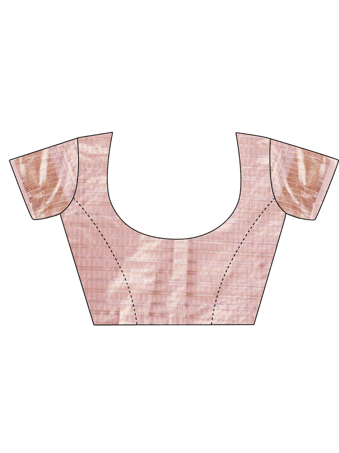 Astita Organza Pink Saree