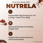 Thumbnail for Patanjali Nutrela Weight Gain Chocolate Flavour