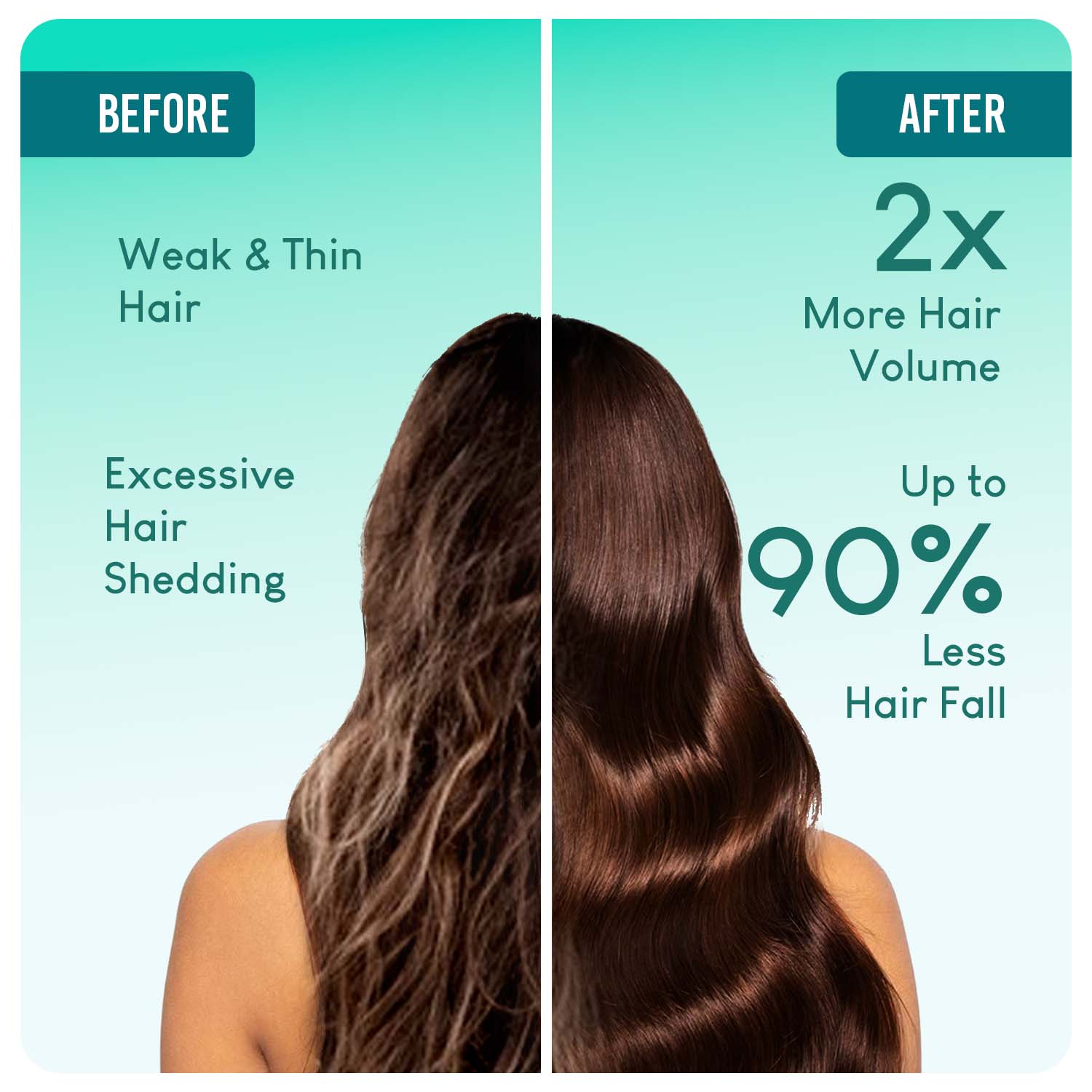 Careberry 100% Organic Rosemary & Jojoba Anti Dandruff Hair Oil - Distacart