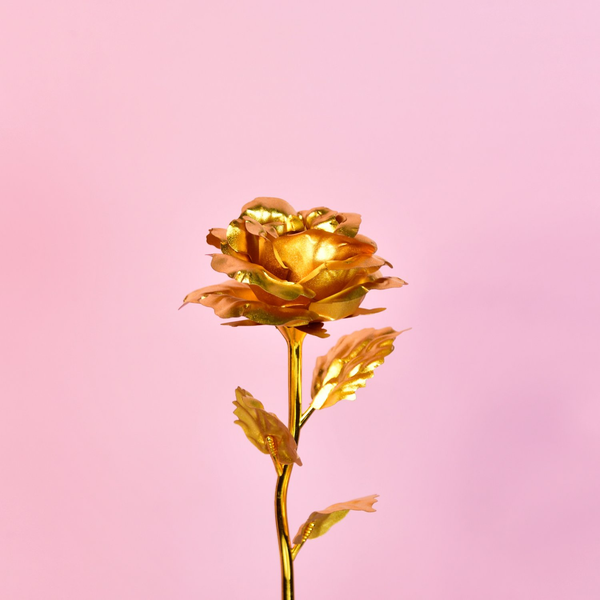 Sowpeace Golden Love