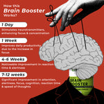 Thumbnail for Health Veda Organics Plant Based Brain Booster Capsules - Distacart