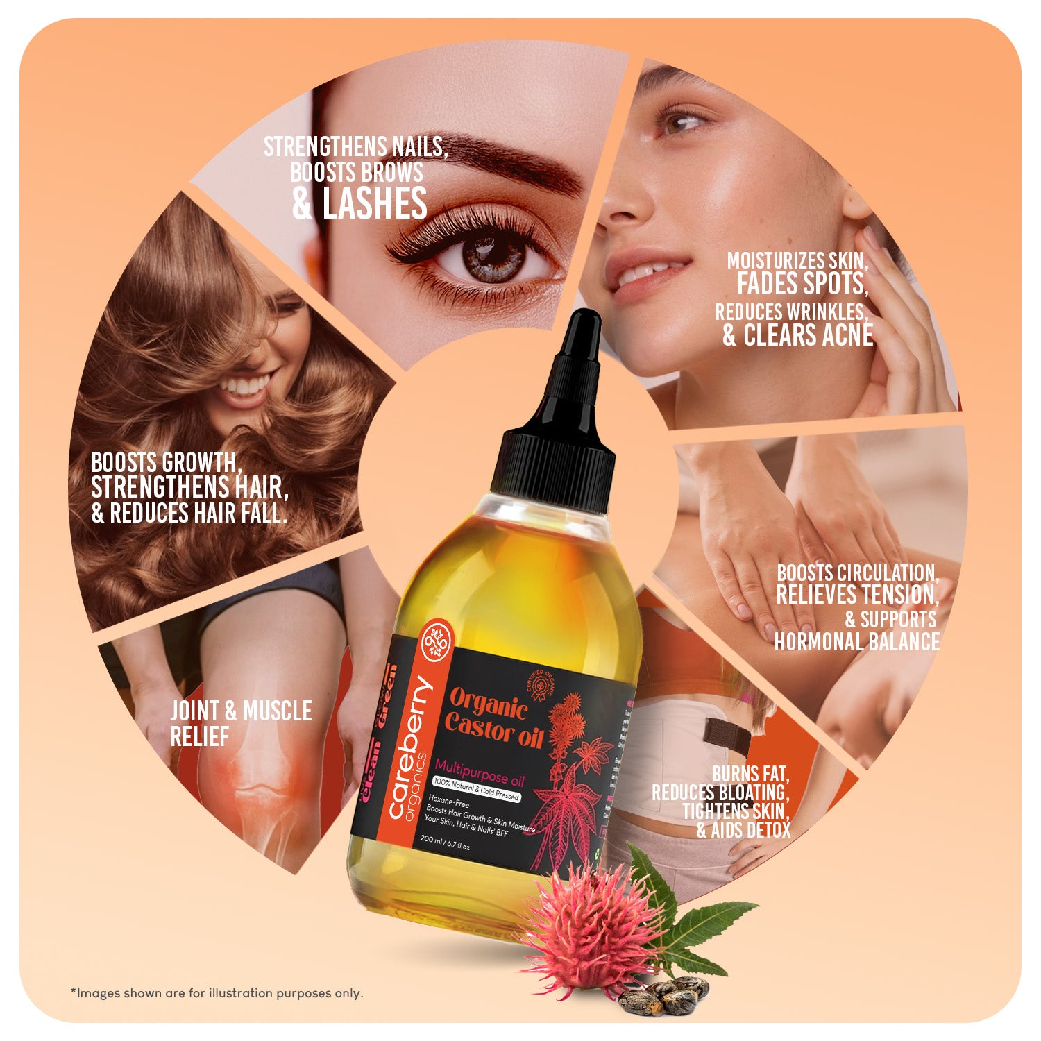 Careberry Organic Cold Pressed Castor Oil (Arandi Oil) - Distacart
