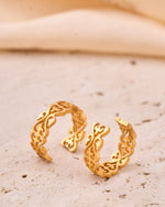 Thumbnail for trueBrowns Gold-Polished Hoop Earrings