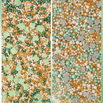 Thumbnail for st patricks sprinkles ps multipack 4 100 gms