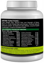 Thumbnail for Sabates Mega Mass Gainer Powder