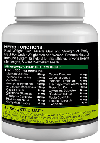 Sabates Mega Mass Gainer Powder