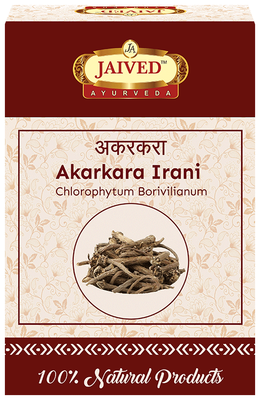 Jaived Ayurveda Akarkara Irani | Boosts Vitality, Enhances Stamina