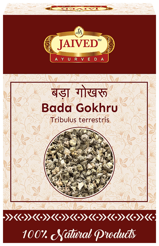 Jaived Ayurveda Bada Gokhru | Boosts Stamina, Enhances Muscle Strength, & Physical