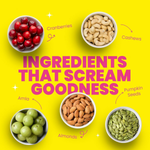 Thumbnail for Yoga Bar Daily Health, Protein & Panchmeva Mix Combo - Distacart