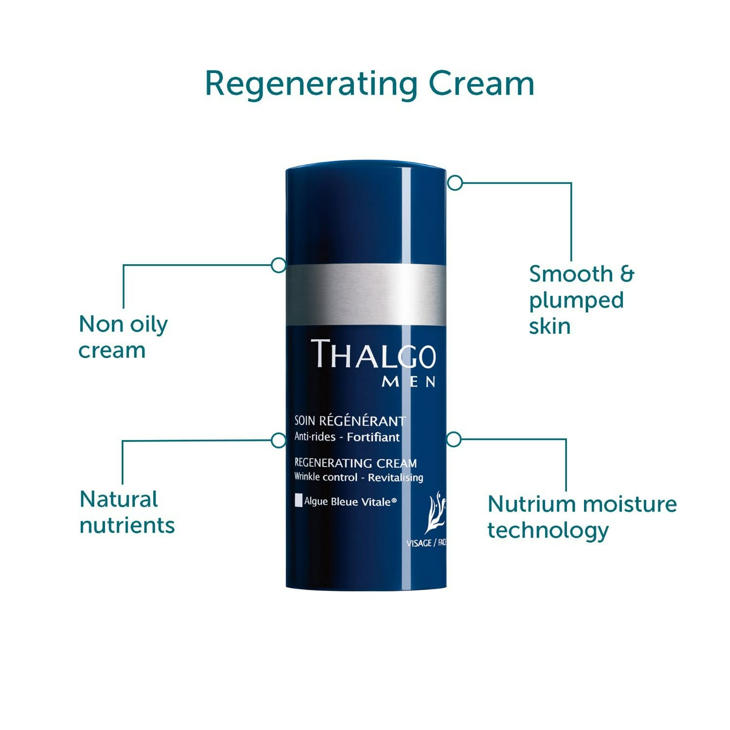 download - 2024-12-17T170001.662