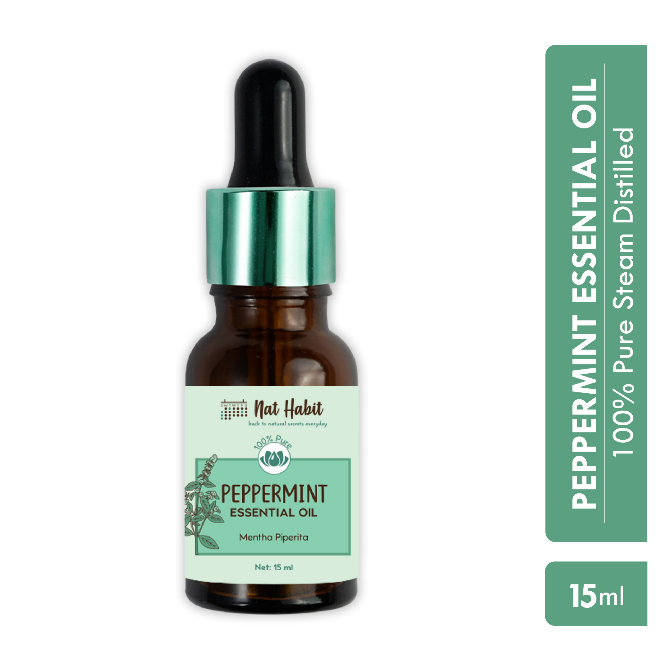 download - 2025-02-11T155044.044