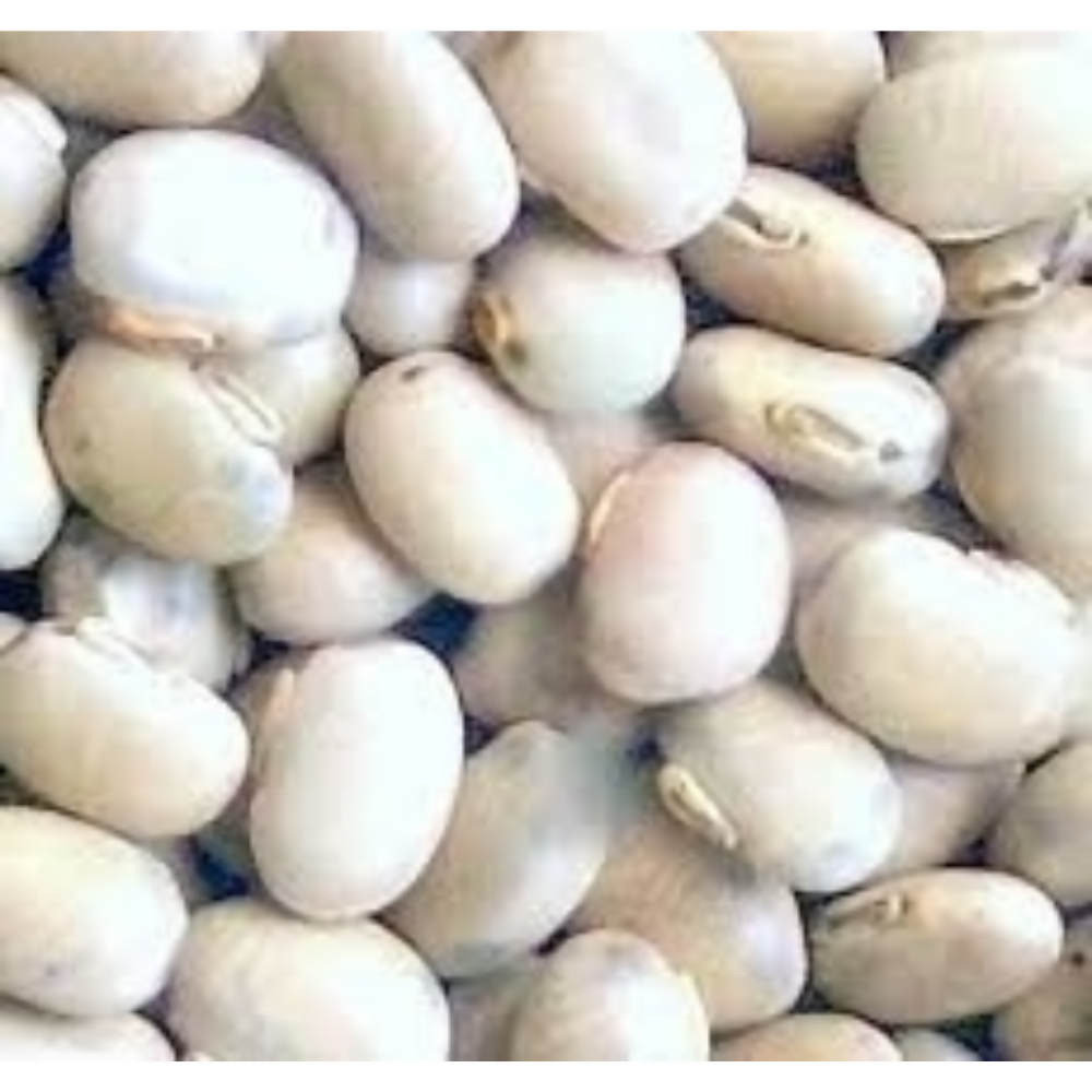 Nxtgen Ayurveda Kaunch Beej - White