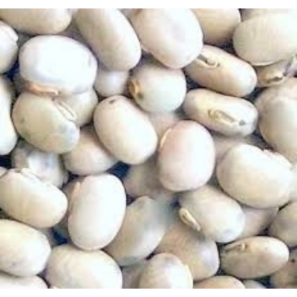 Nxtgen Ayurveda Kaunch Beej - White - Distacart