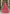 Monjolika Fashion Rani Pink Butterfly Net Embroidered Work Stunning Lehenga For Wedding Season