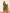 Yufta Military Green Cotton Straight Kurta Dupatta Pant Set