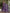 The52 Women's Gorgeous Rayon Slub Embroidery Straight Kurta with Pant And Dupatta Set