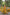 Pramukh Fab Yellow Colour Faux Georgette Gown