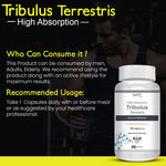 Thumbnail for Vokin Biotech Tribulus Terrestris 700mg Energy, Performance & Stamina 90 Veg Capsules