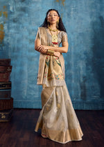 Thumbnail for Monjolika Fashion Grey Paithani Tissue Handloom Weaving Saree - Dista