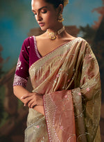 Thumbnail for Monjolika Fashion Multicolor Fancy Fabric Saree With Embroidered Work - Dista
