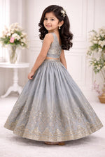 Thumbnail for Evanik Grey Georgette Embroidered Work Wedding Kids Lehenga Choli - Dista