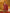 Yufta Red Floral Thread Work Pure Cotton Kurta Trousers With Dupatta Set