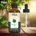 Thumbnail for Organic Zing Betel Leaf (Piper betle) Oil | Pure & Natural Essential Oil for Skincare, Hair Care, Aroma & Diffusers