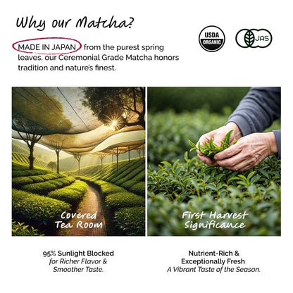 ILEM JAPAN Japanese Matcha Tea (25g) | Pure Ceremonial Grade Organic Japanese Matcha|First Harvest|Authentic & Premium Matcha Tea Powder Sourced From Kagoshima,Japan