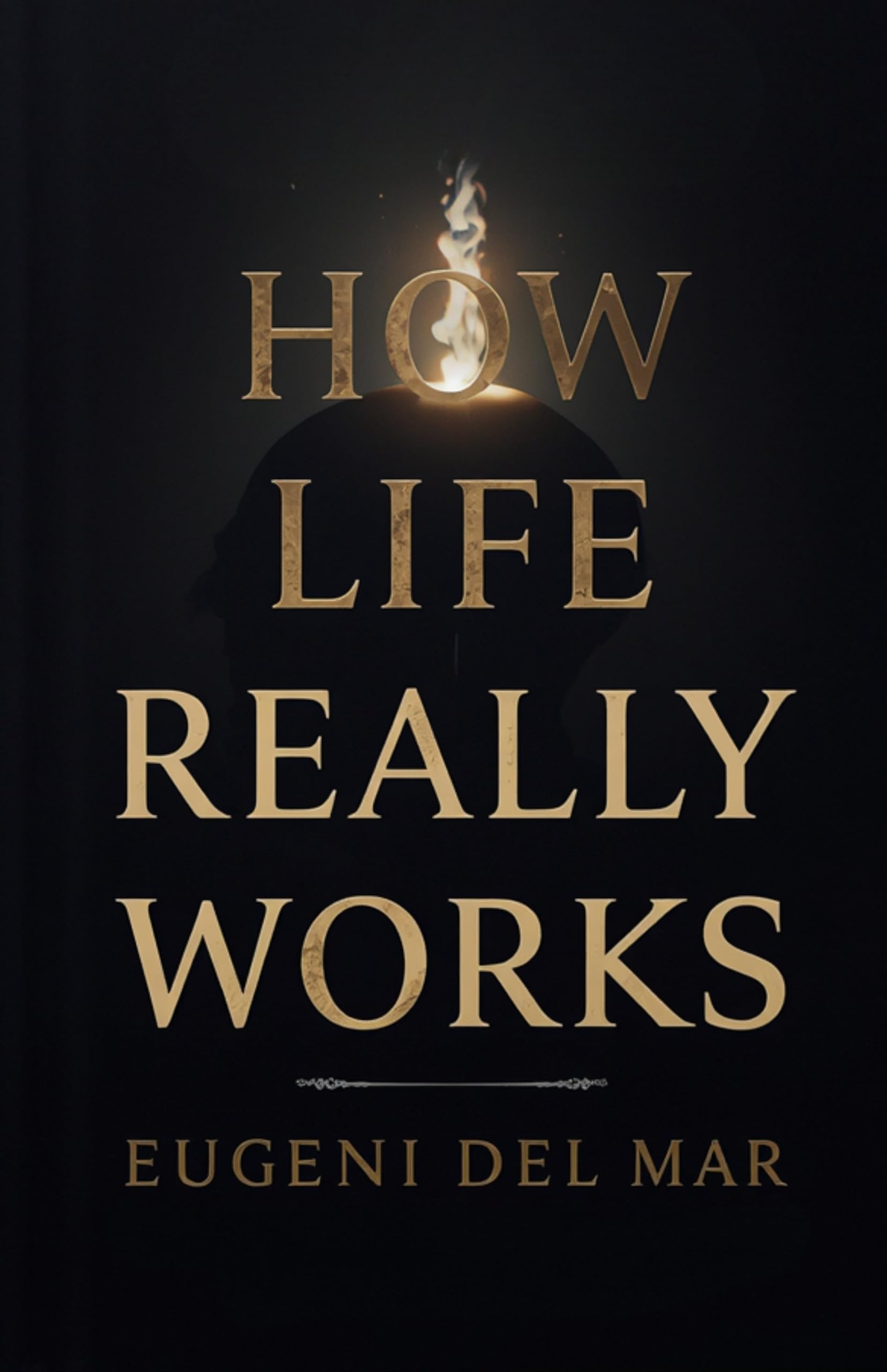 How Life Really Works (Illustrated, Refined and Edited) - Distacart