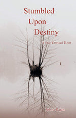 Thumbnail for Stumbled Upon Destiny - Jolsna Rajan - Dista