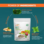 Thumbnail for Ao Organic Natural Plant Base B12 Powder