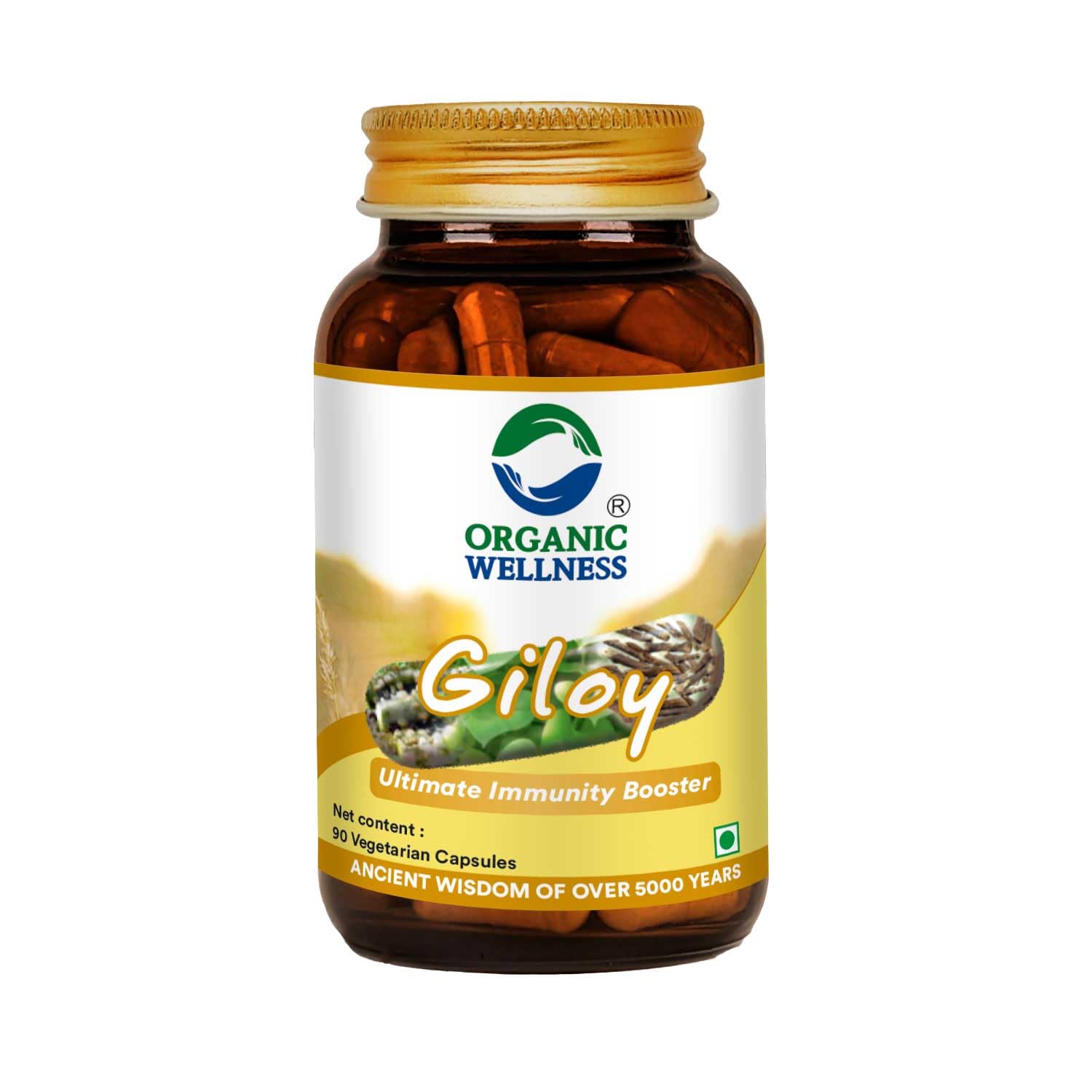 Organic Wellness Giloy Capsules - Distacart