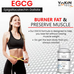 Thumbnail for Vokin Biotech EGCG from Green Tea Leaf Extract 500mg EGCG - Antioxidant Support – 90 Capsules