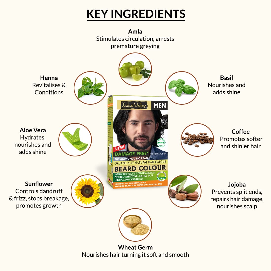 Indus Valley Natural Damage Free Men Mustache & Beard Color for Gray Hair Black - Distacart