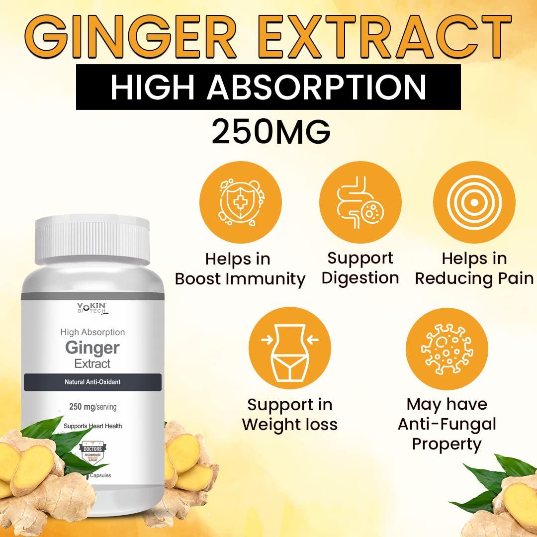 Vokin Biotech Ginger Extract 5% Gingerols Natural Digestion Supplement - Improve Gastrointestinal Health 90 Veg Capsules
