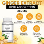 Thumbnail for Vokin Biotech Ginger Extract 5% Gingerols Natural Digestion Supplement - Improve Gastrointestinal Health 90 Veg Capsules